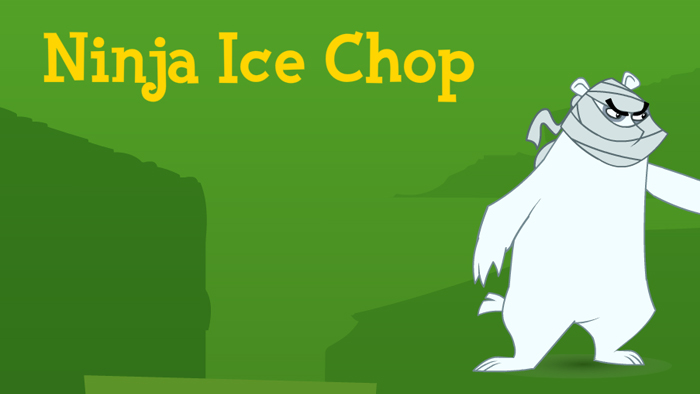 Ninja Ice Chop