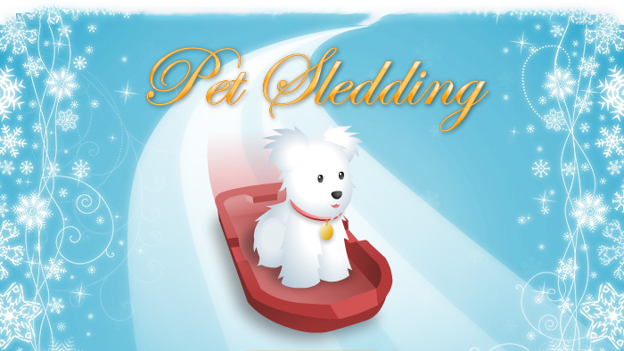 Pet Sledding on POP!